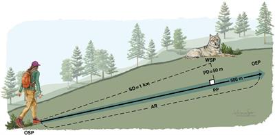 A Standardized Method for Experimental Human Approach Trials on Wild Wolves